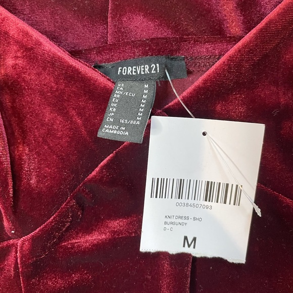 Forever 21 Velvet Dress - Picture 2 of 2